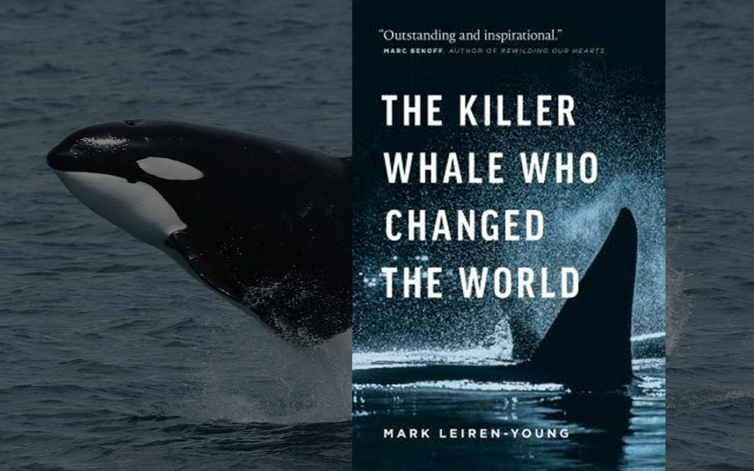 Review: The Killer Whale Who Changed The World