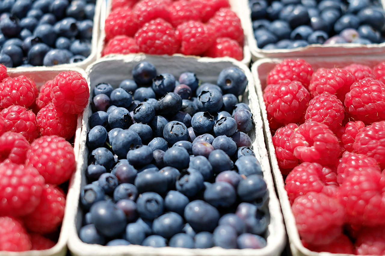 Summer Markets Guide