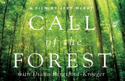 Film Review of Call of the Forest: The Forgotten Wisdom of Trees