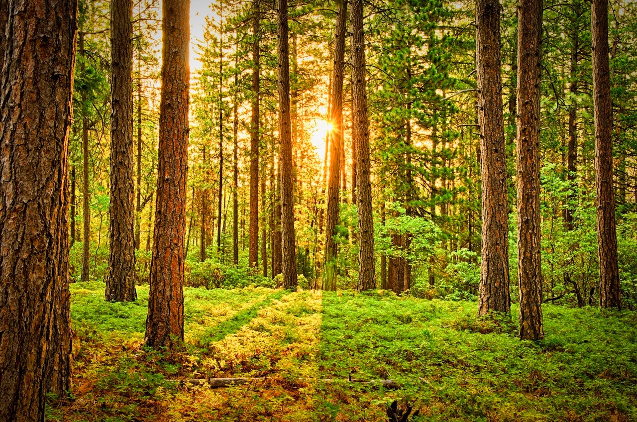 Tools For Healthier Built Environments