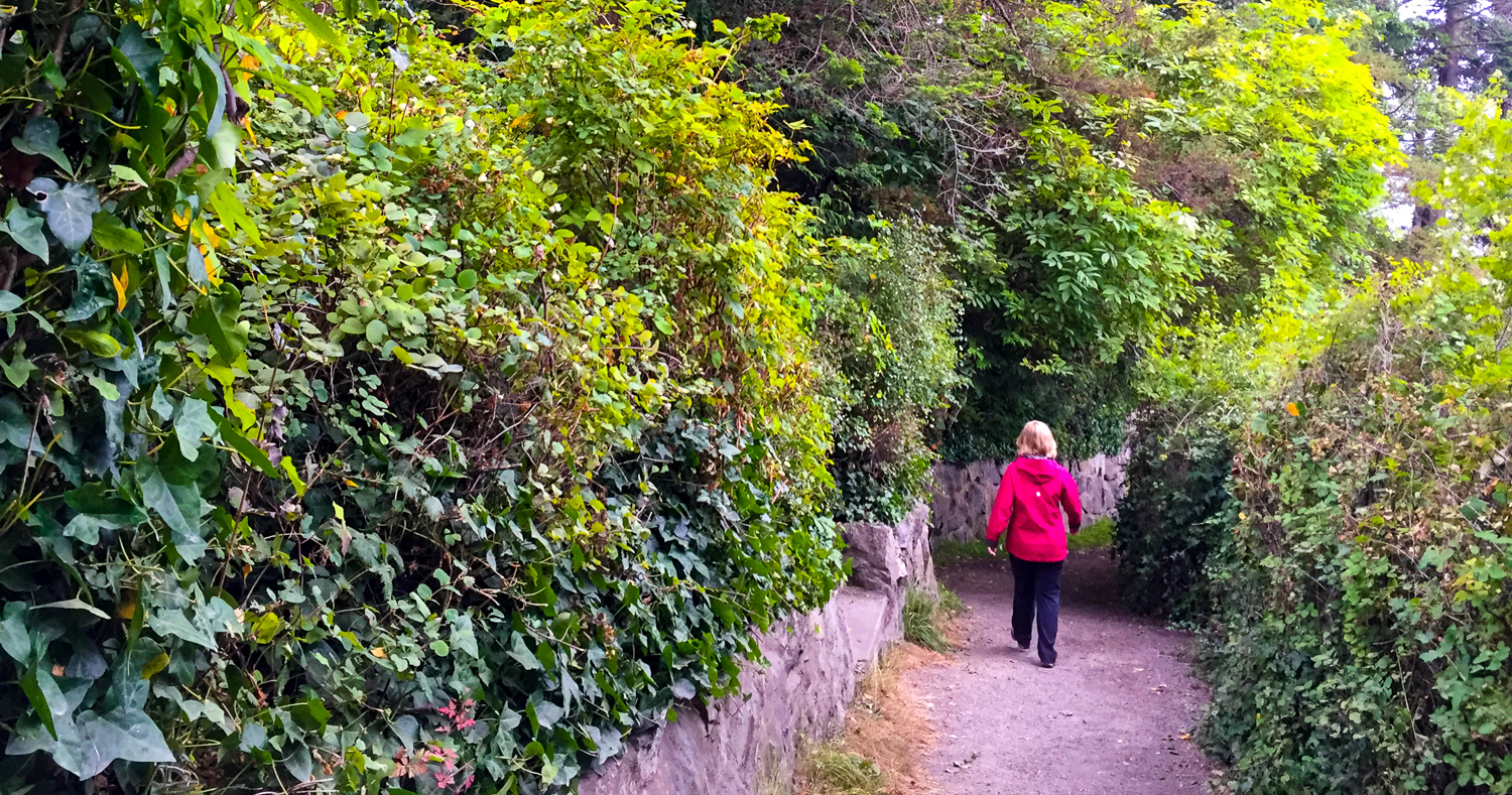 The Human Benefit of Trees