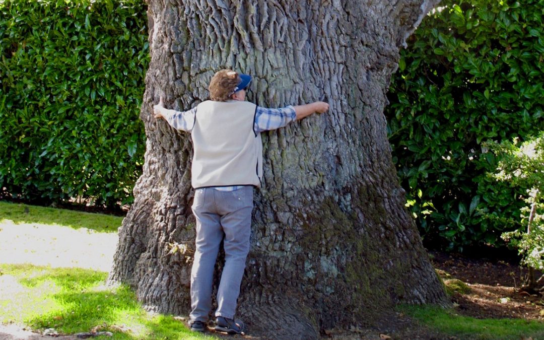 Tree Huggers Spotted in Oak Bay