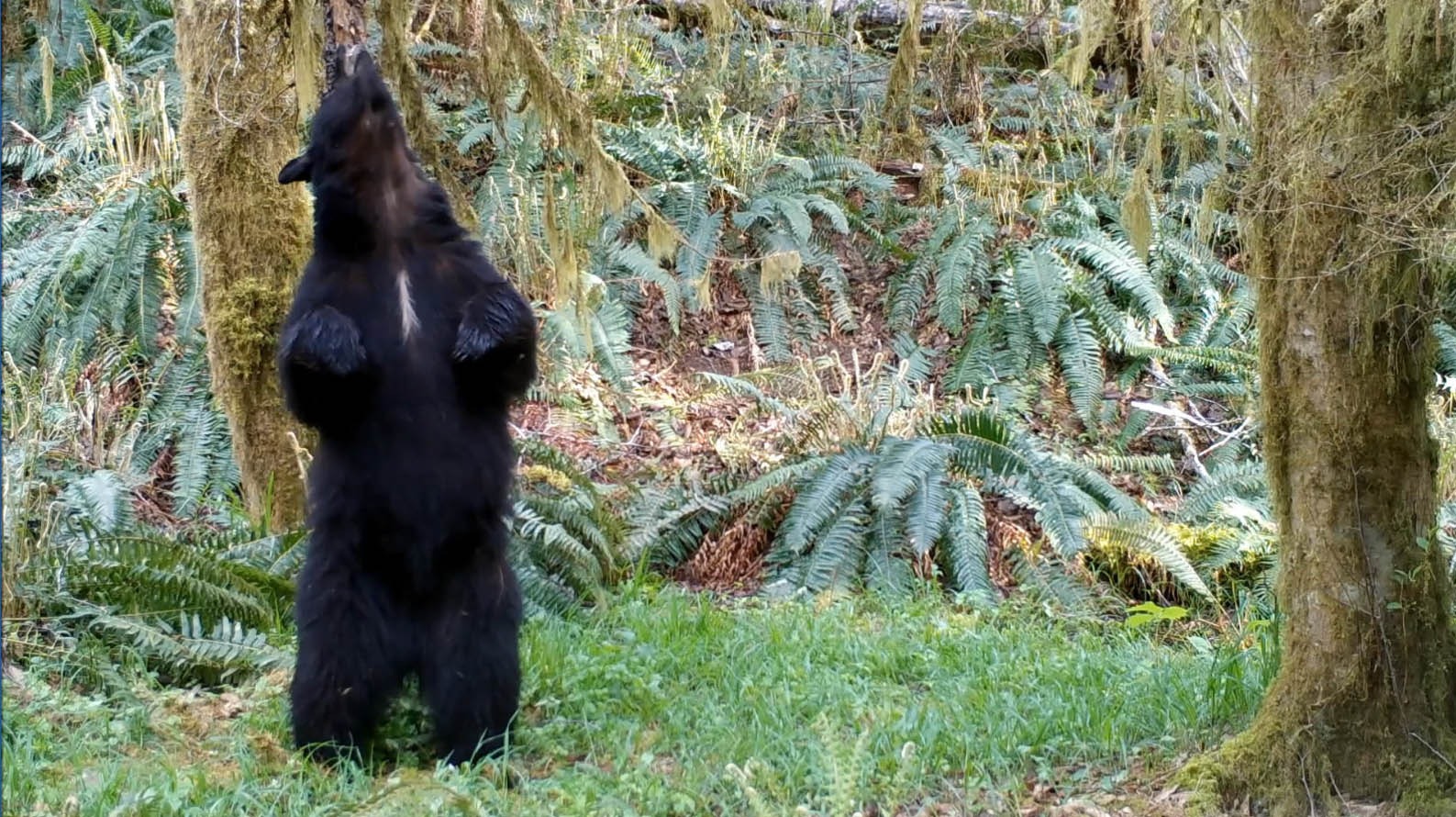 Park Protection Needs Vigilance