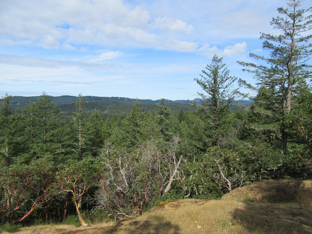Residents’ Group Fights for a New Park in Langford