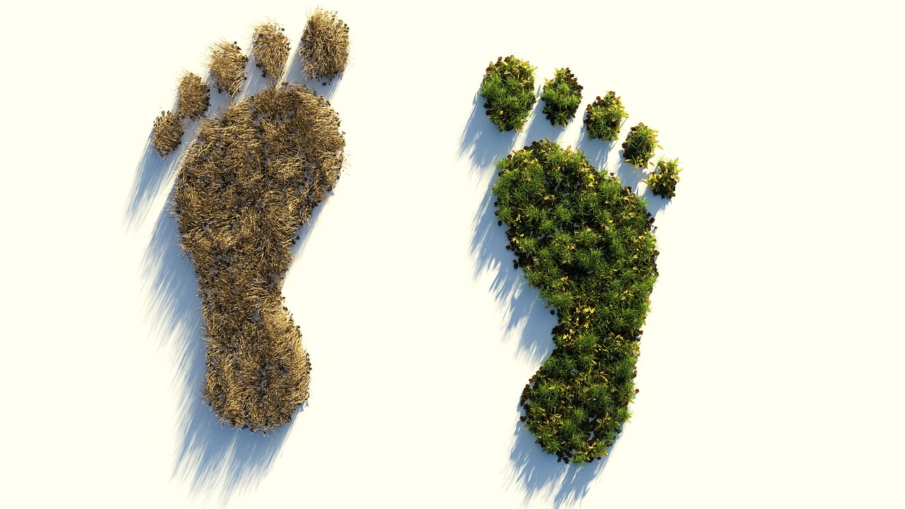 ‘One planet’ Communities Look Forward