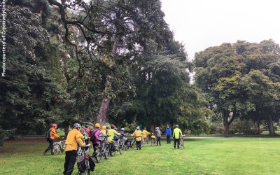 Tree Bike Tour