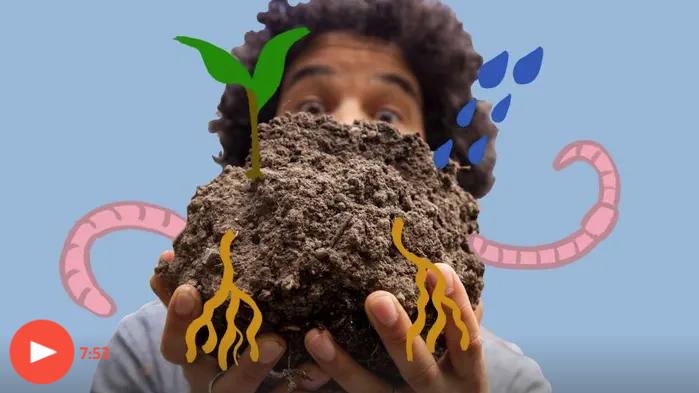 It’s Time We Stopped Treating Soil Like Dirt – Video
