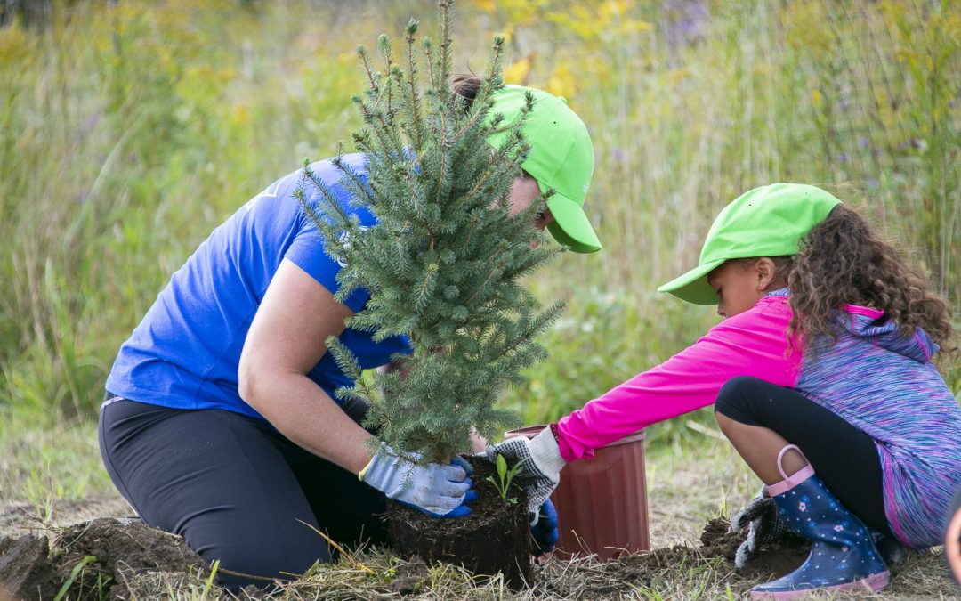 National Tree Day: A Meaningful Way to Reflect on the Positive Impact of Trees