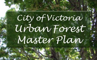 Council Protects Urban Forest