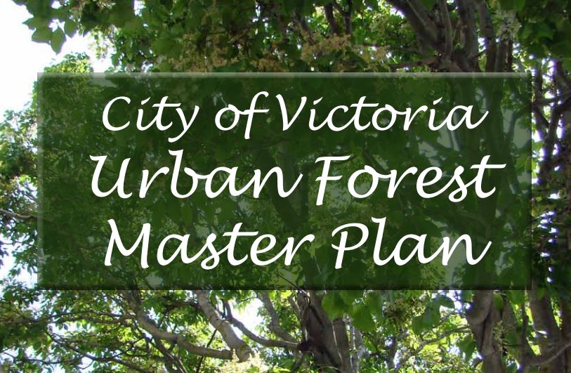 The Urban Forest Master Plan