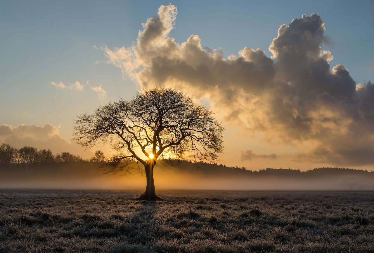 Faith in a Sustainable Future is Vital