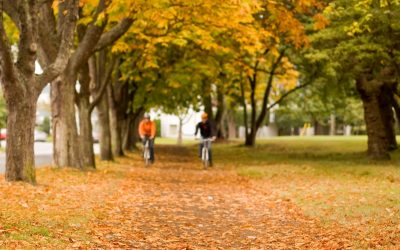 City of Victoria Tree Planting Challenge, Mapping Tool and Workshops