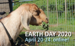 Esquimalt Celebrates 50th Anniversary of Earth Day With Week-Long Online Programming