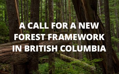 Ecoforestry: Nurturing Nature’s Ecosystems – A Call For a New Forest Framework in British Columbia