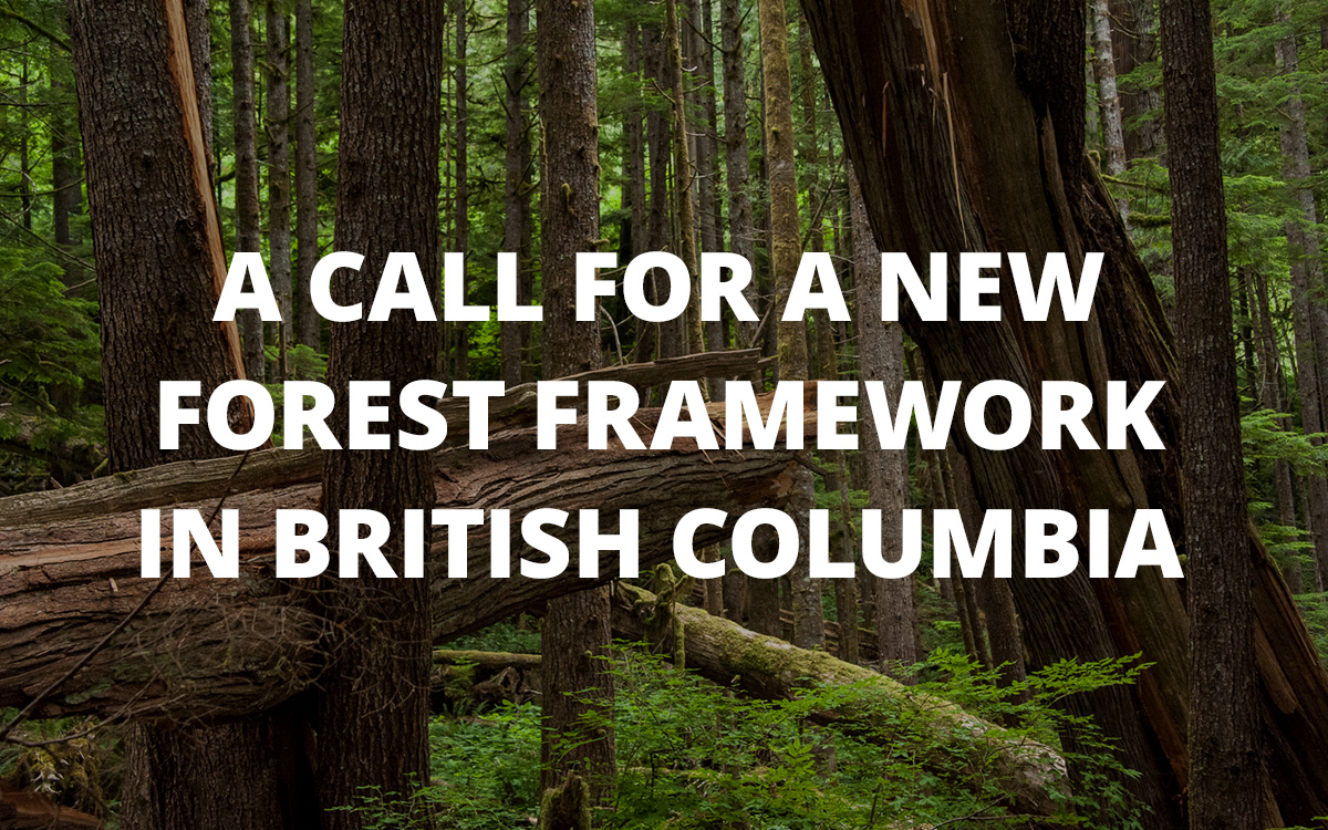 Ecoforestry: Nurturing Nature’s Ecosystems – A Call For a New Forest Framework in British Columbia