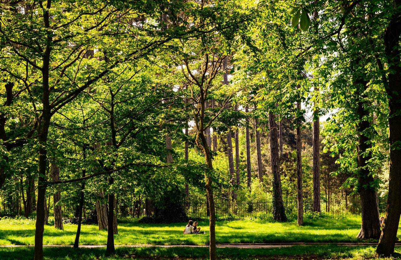 Manifesto for a Just and Ecological Civilization