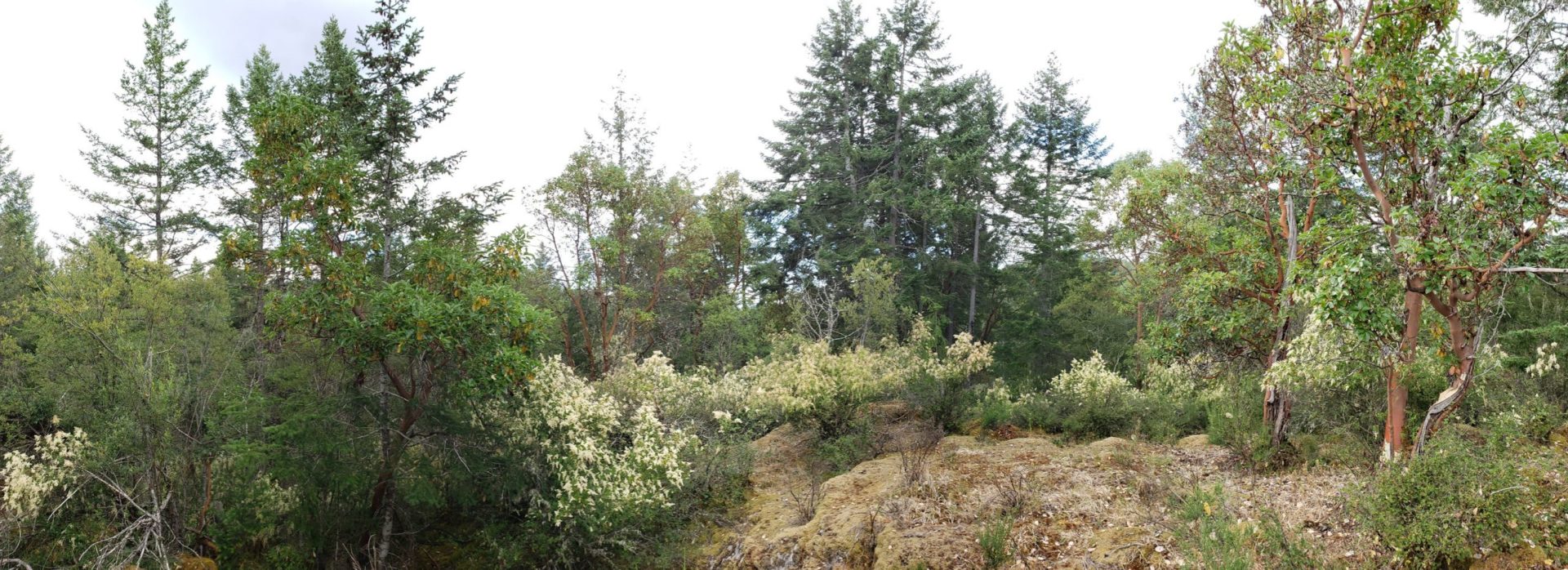 Highlands community association seeks to quash Province’s decision to approve strip mine