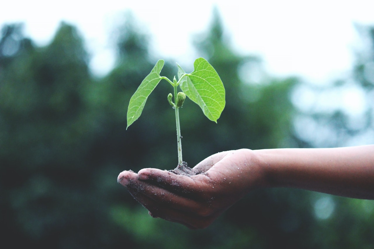 A New Ecological Civilization: How Do We Get There?