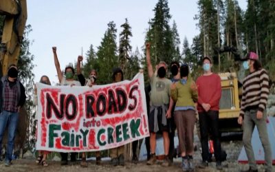 Fairy Creek Blockade- Call to Action!