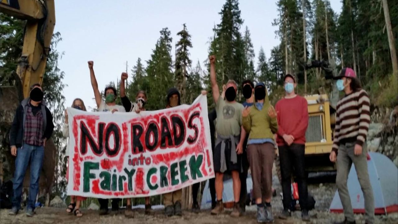 Fairy Creek Blockade- Call to Action!