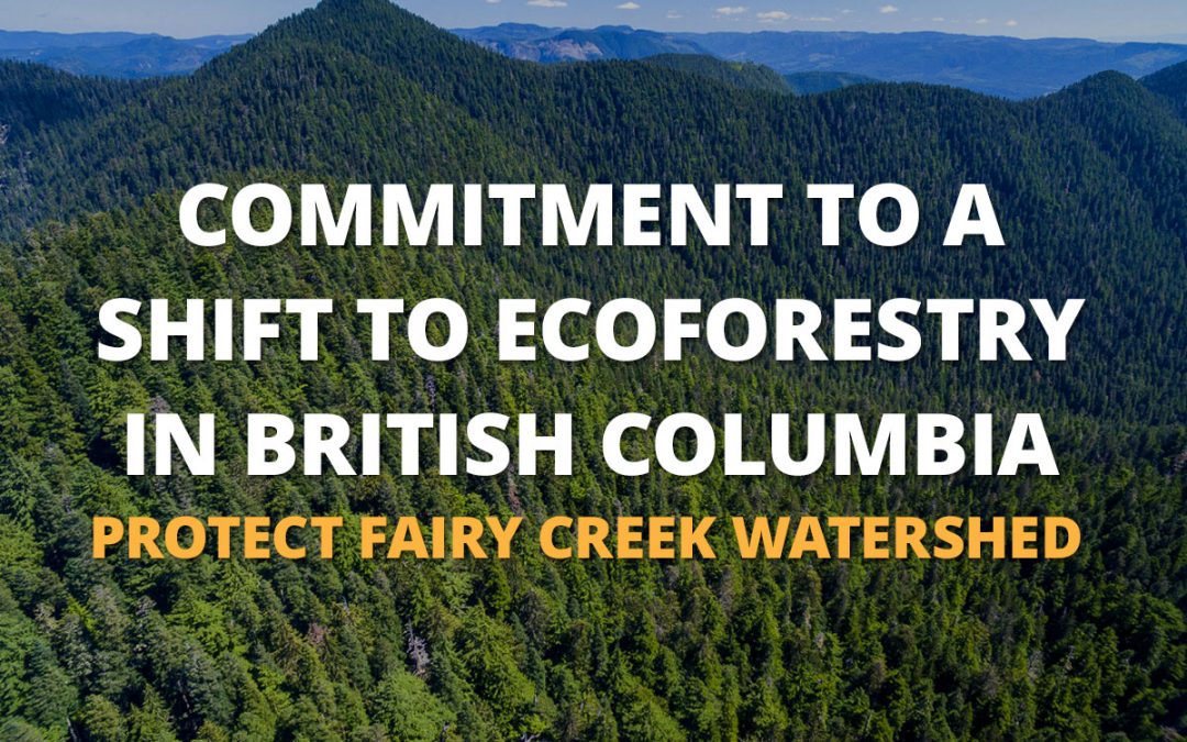 Commitment to a Shift to Ecoforestry in British Columbia: Protect Fairy Creek Watershed