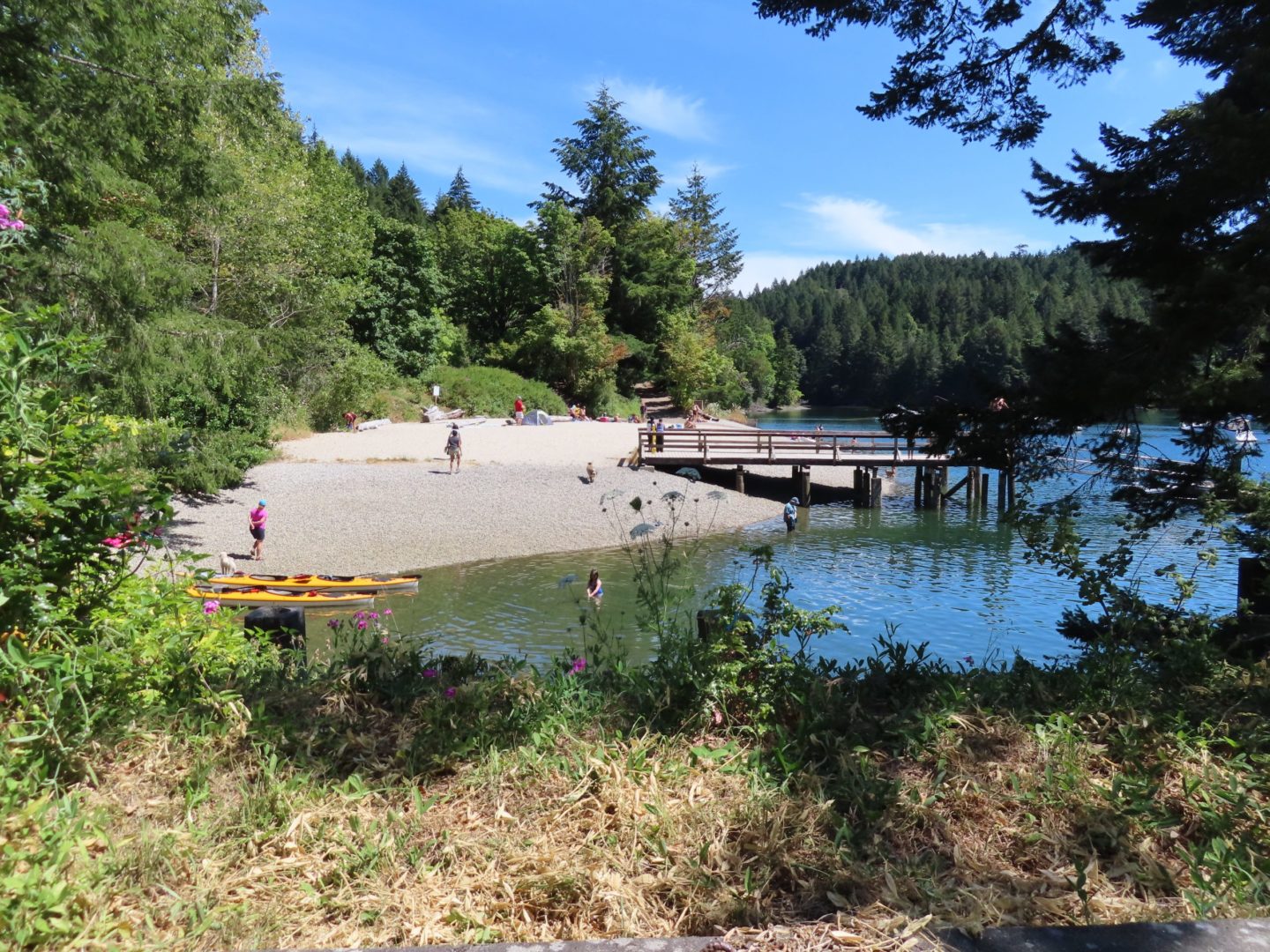 OUR PARKS – The Ultimate Essential Service