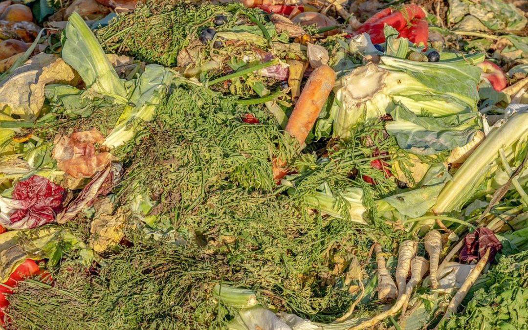 Canada is a major contributor to the global food waste crisis