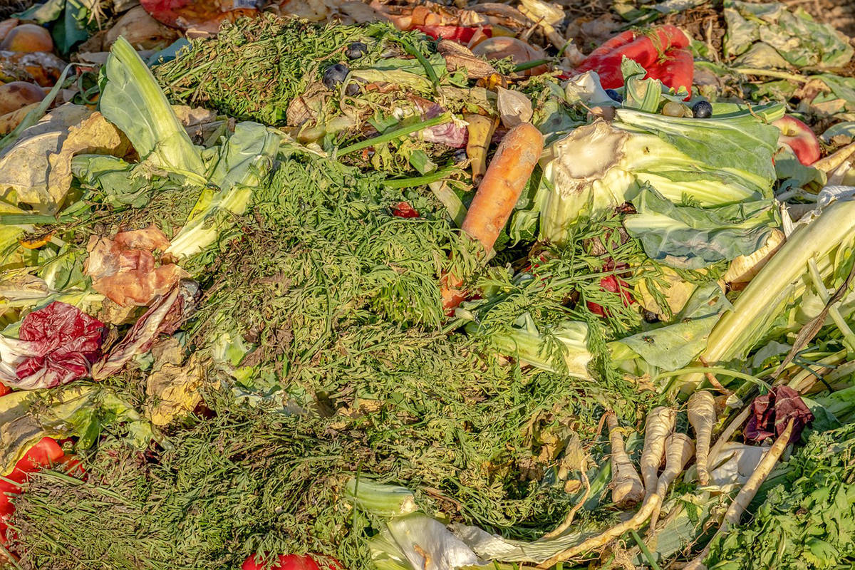 Canada is a major contributor to the global food waste crisis