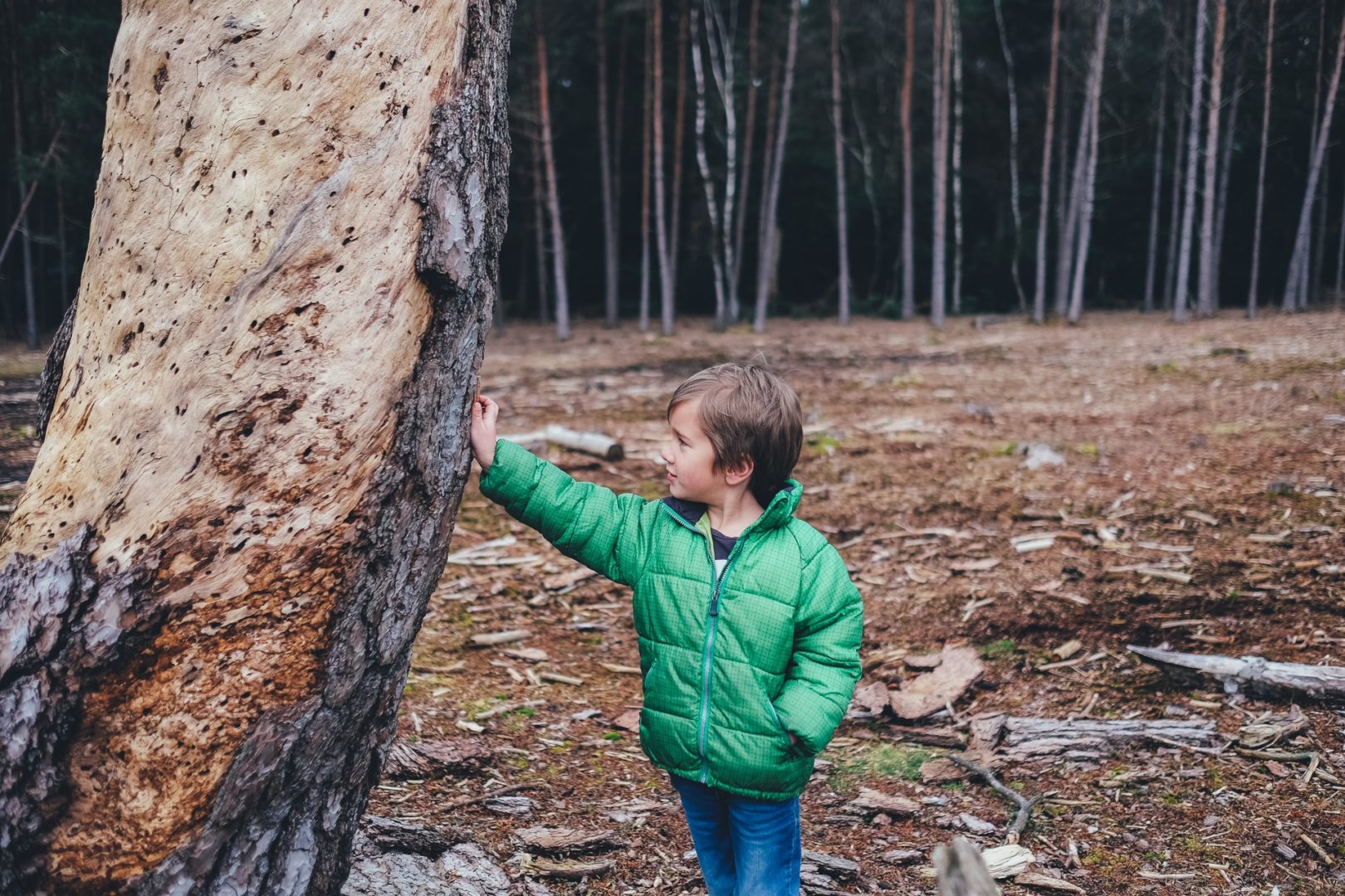 We need your help – climate motion rejected by Victoria School Board