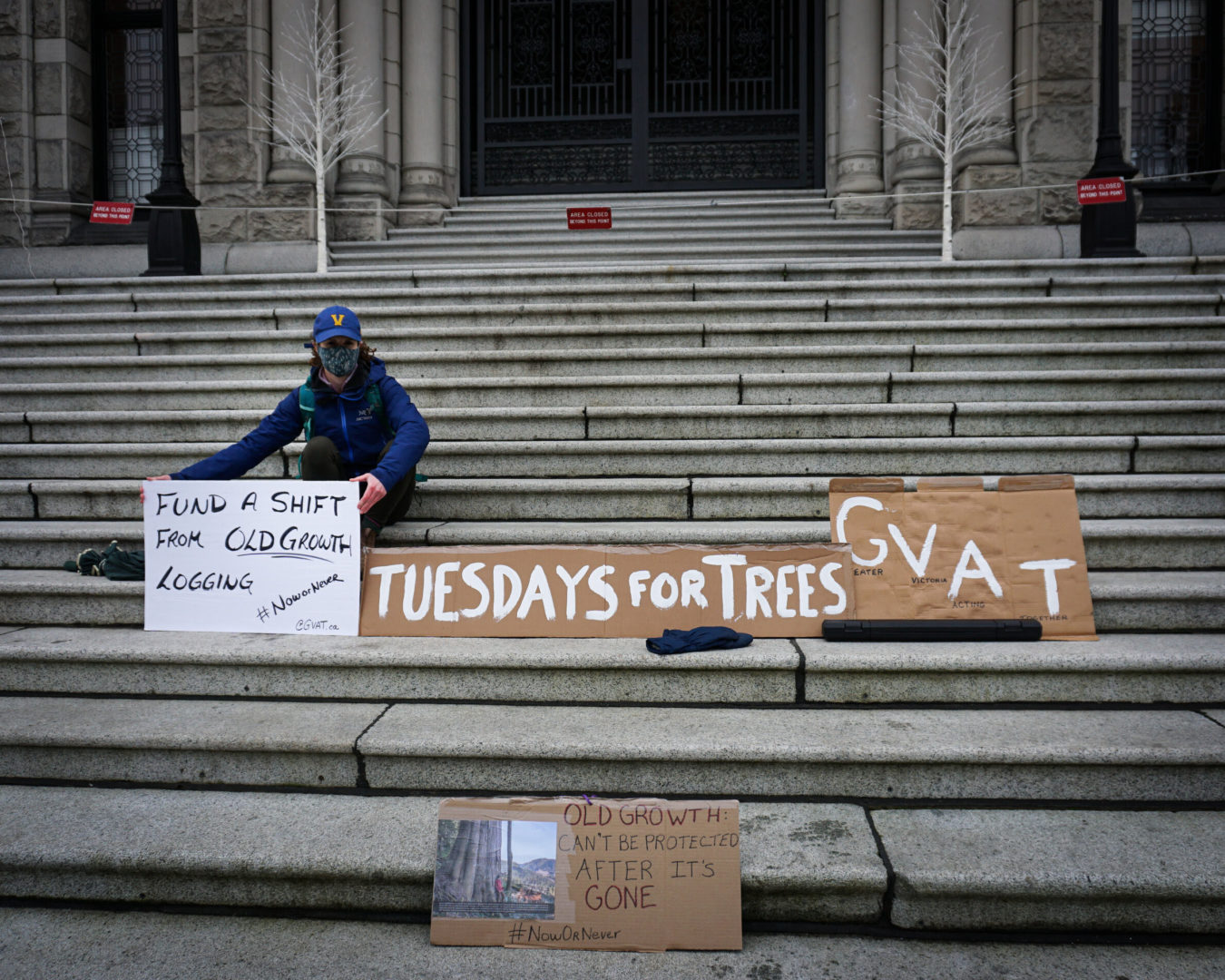 Introducing Tuesdays for Trees