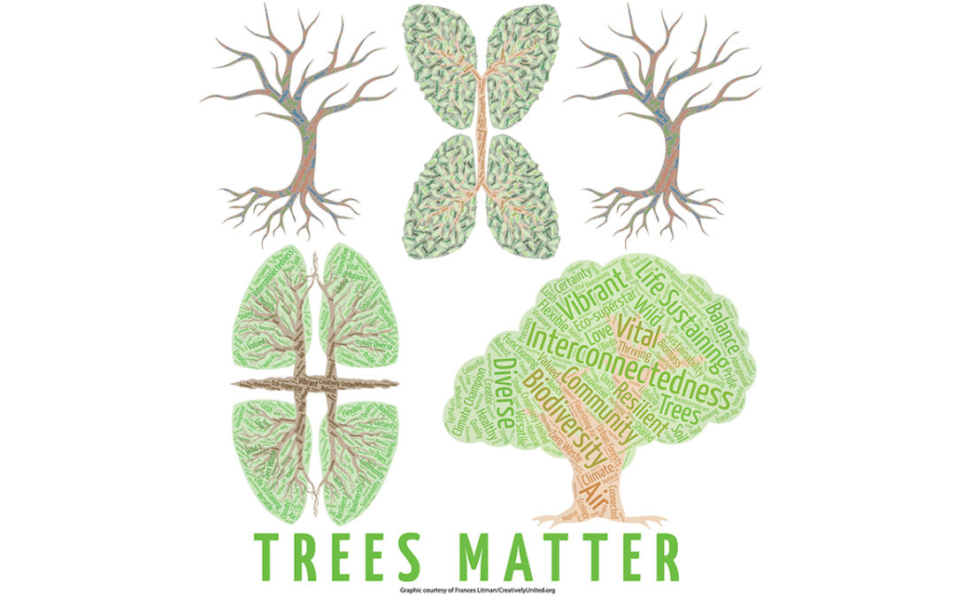 Trees Matter – Shareable Graphics