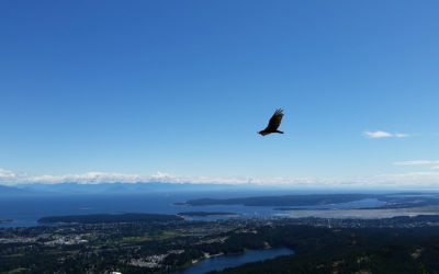 The Nanaimo Area Land Trust is Calling all Interested Wetlands Stewards!