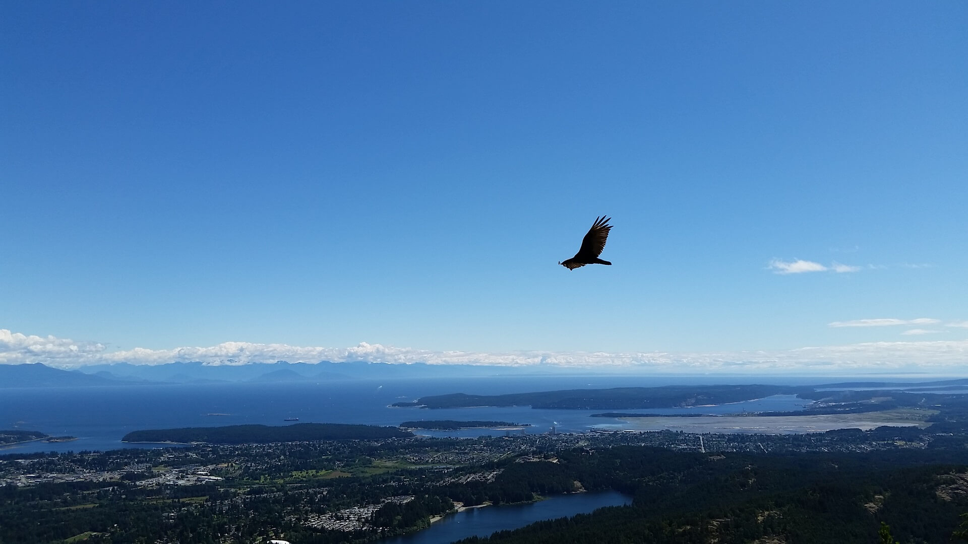 The Nanaimo Area Land Trust is Calling all Interested Wetlands Stewards!