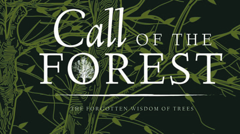 Call of the Forest – Support for Fairy Creek