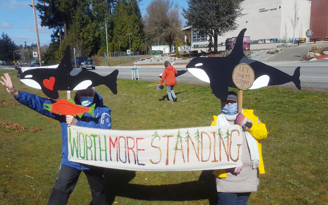 Sooke Rally – Protect Fairy Creek & Support Blockades – Sat. April 17