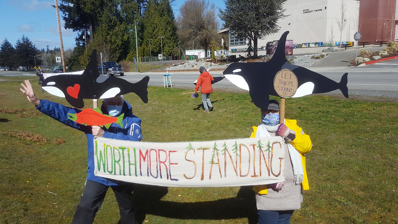 Sooke Rally – Protect Fairy Creek & Support Blockades – Sat. April 17