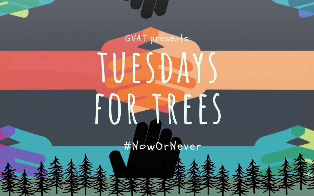 Tuesdays for Trees Campaign