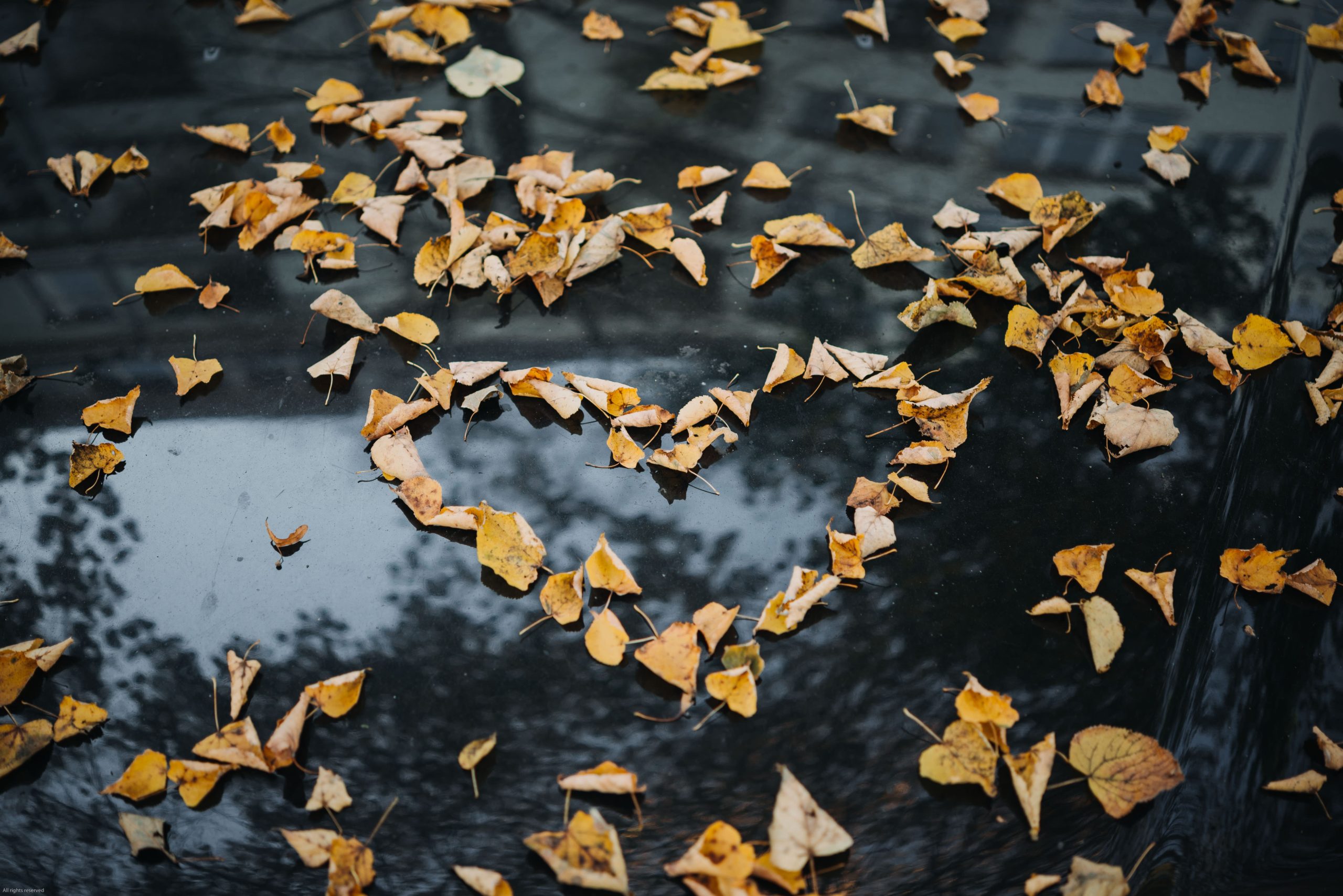 Seasons Cyclical – A Poem