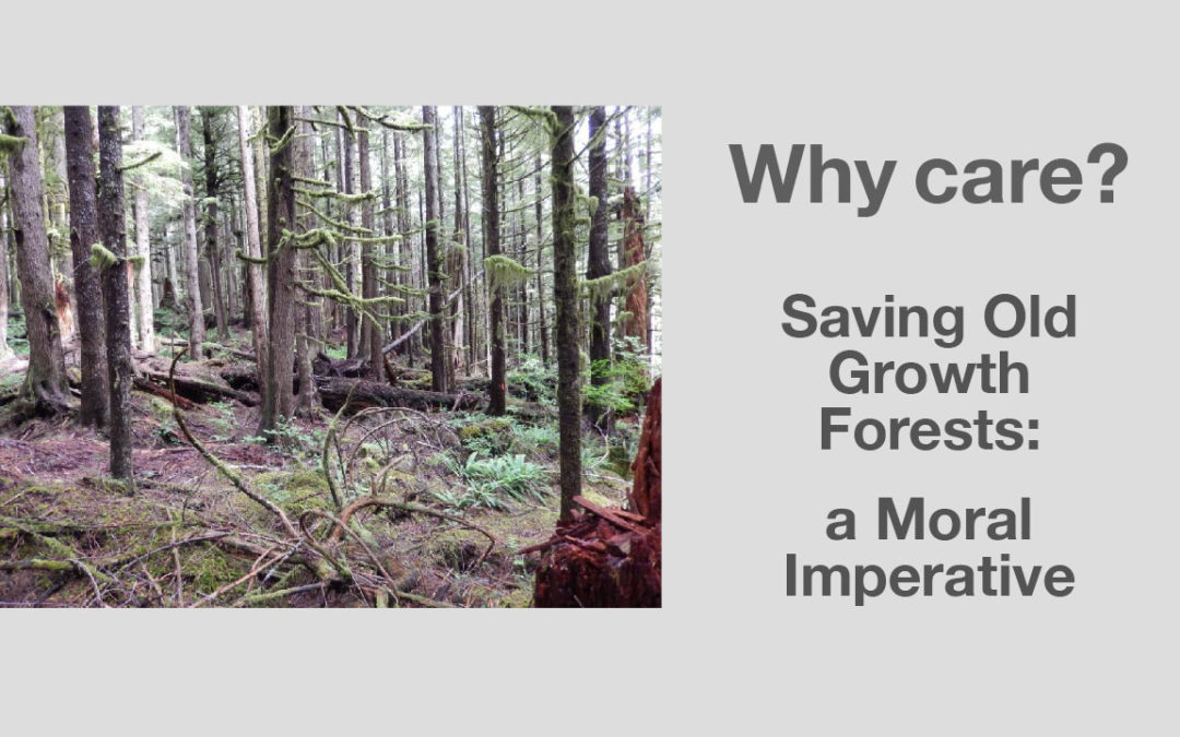 Why Care? Old Growth Forests in BC on Brink of Extinction: A New Moral Imperative is Upon Us All