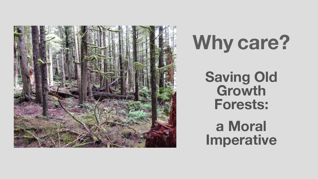 Why Care? Old Growth Forests in BC on Brink of Extinction: A New Moral Imperative is Upon Us All