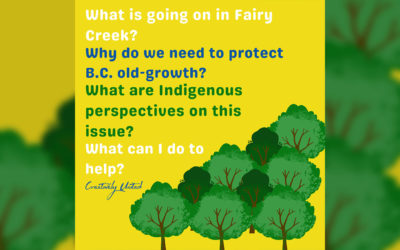 Shareable Fairy Creek Infographics