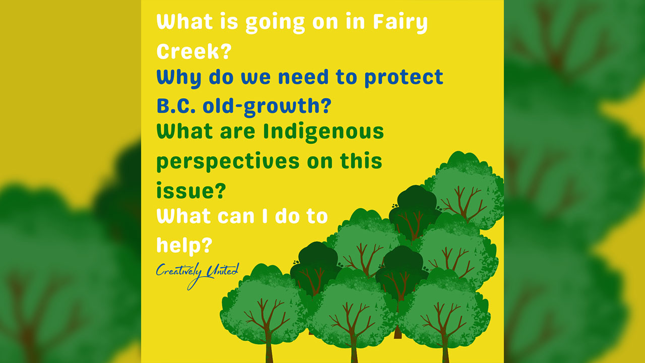 Shareable Fairy Creek Infographics