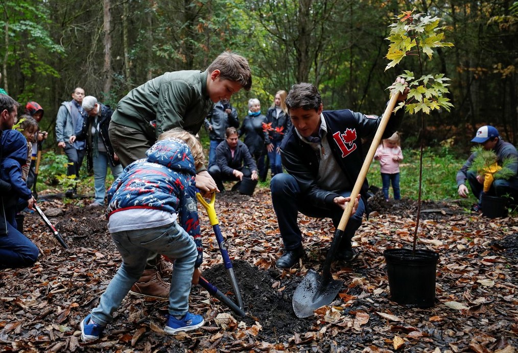 Trees Pay Decades of Dividends