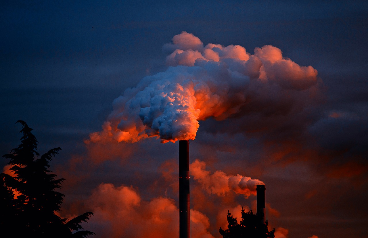 World Scientists’ Warning of a Climate Emergency 2021