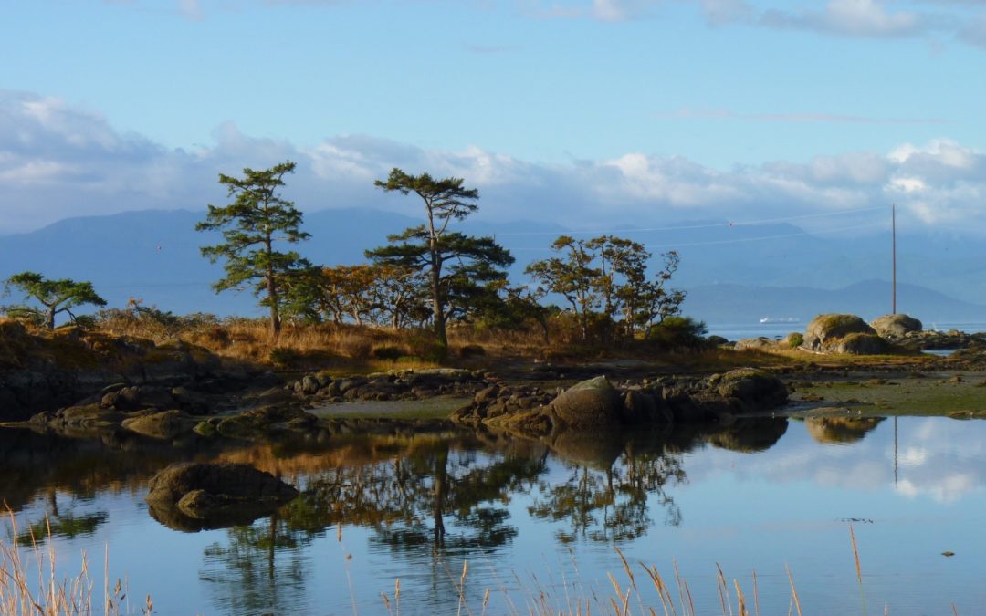 Lead Educator Position Open at Rocky Point Bird Observatory