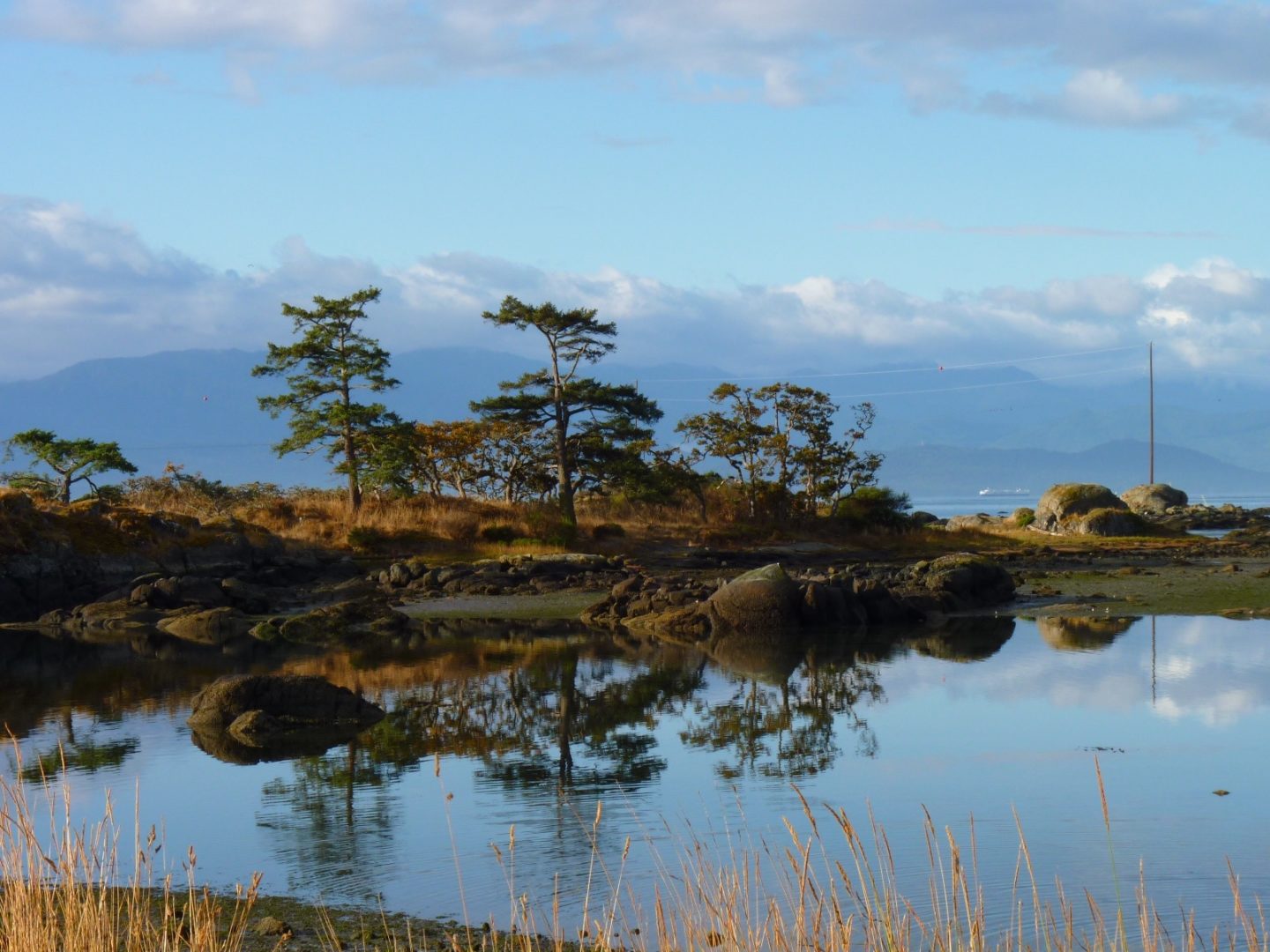 Lead Educator Position Open at Rocky Point Bird Observatory