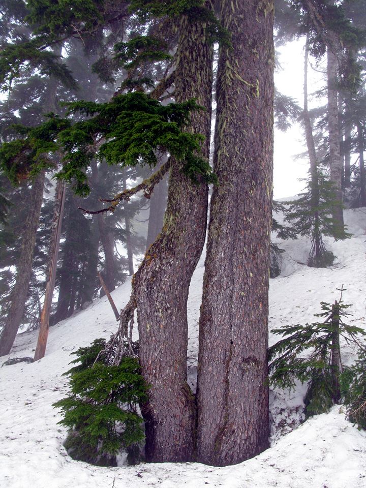 A Winters Rest