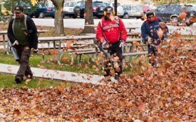 Phase Out Gas Powered Leaf Blowers