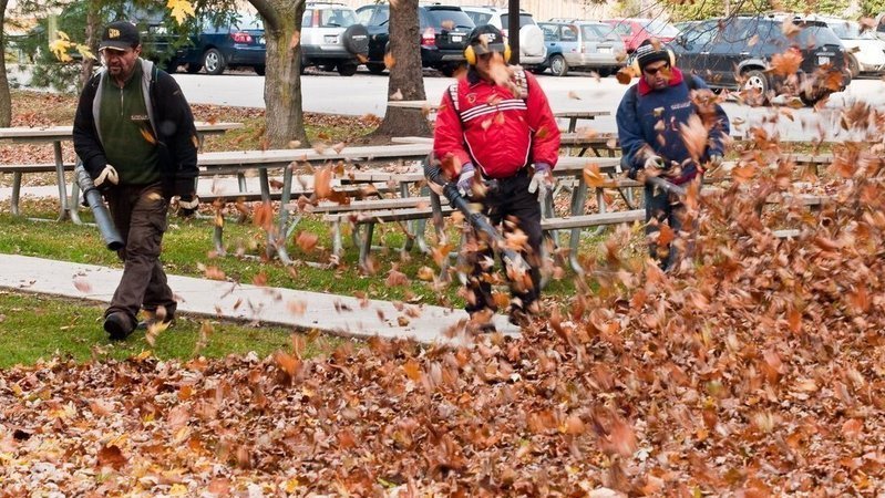Phase Out Gas Powered Leaf Blowers