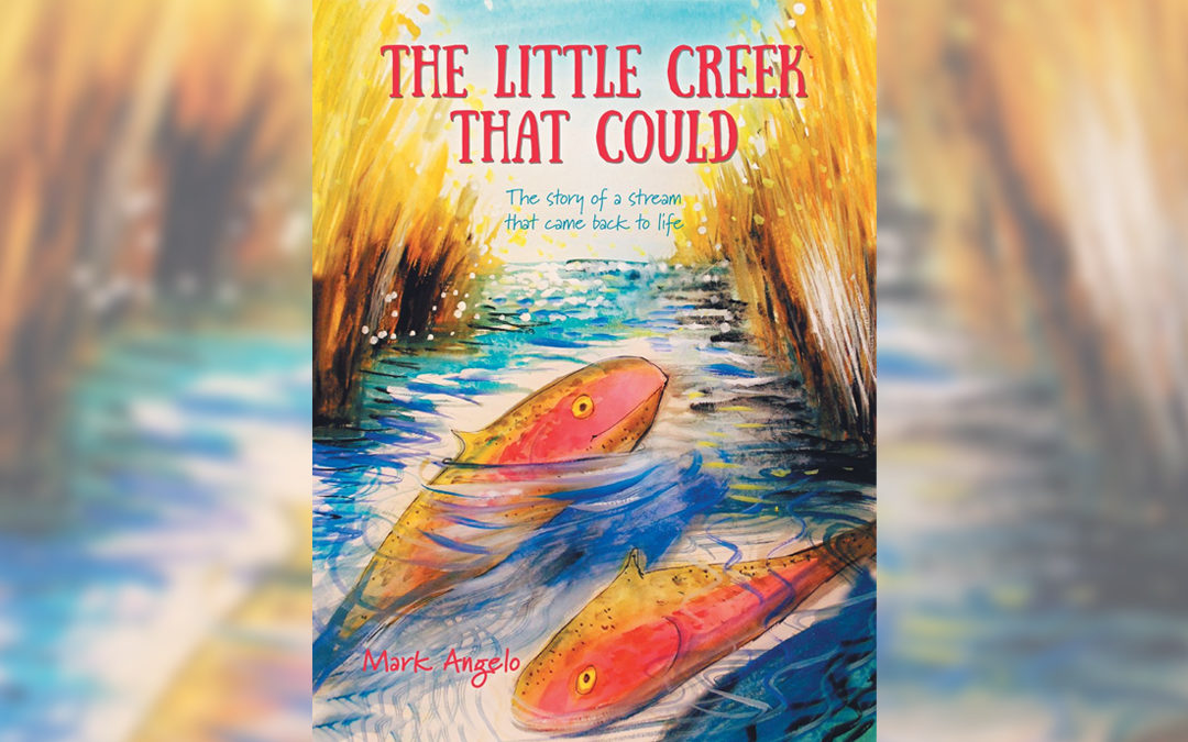 Mark Angelo’s “The Little Creek That Could”